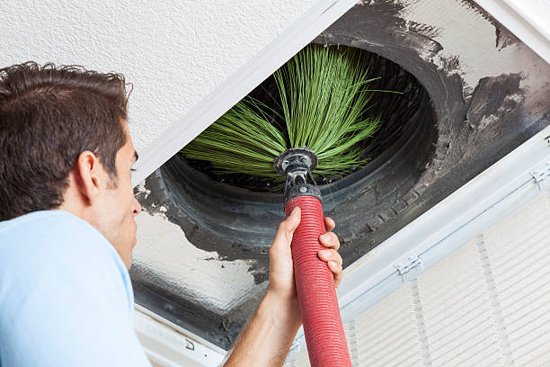 Air Duct Mold Removal in Hurleyville, NY